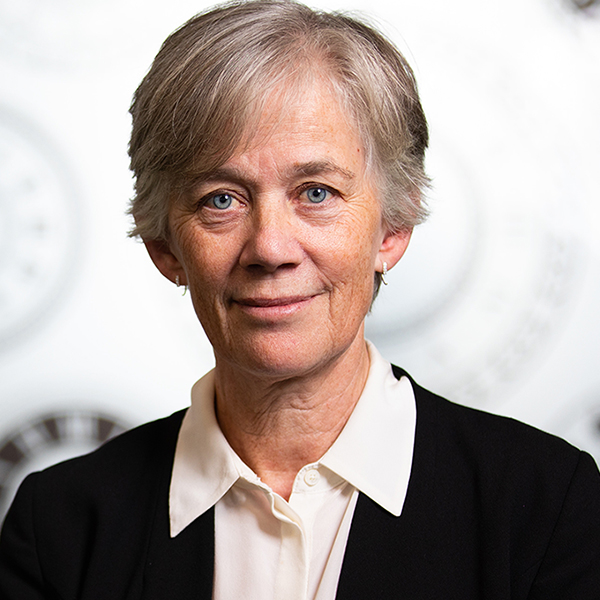 Professor Dame Angela McLean DBE FRS